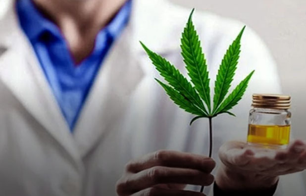 Inscripción a una nueva cohorte de la Diplomatura en Cannabis Medicinal y Derechos Humanos